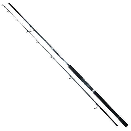 Daiwa Saltist X Shore Jigging 2.74m