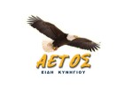 Αετός