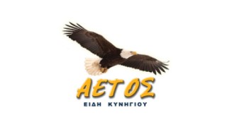 Αετός