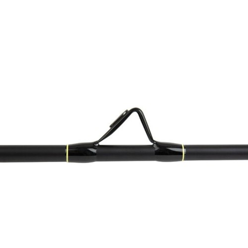 Shimano Beastmaster CX Boat Slim 2030