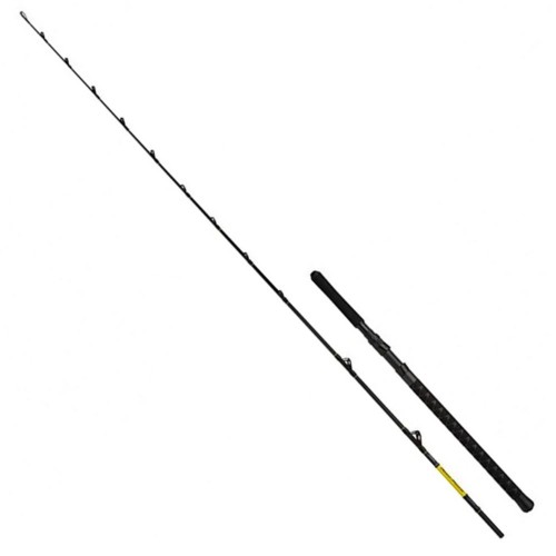 Shimano Beastmaster CX Boat Slim 2030