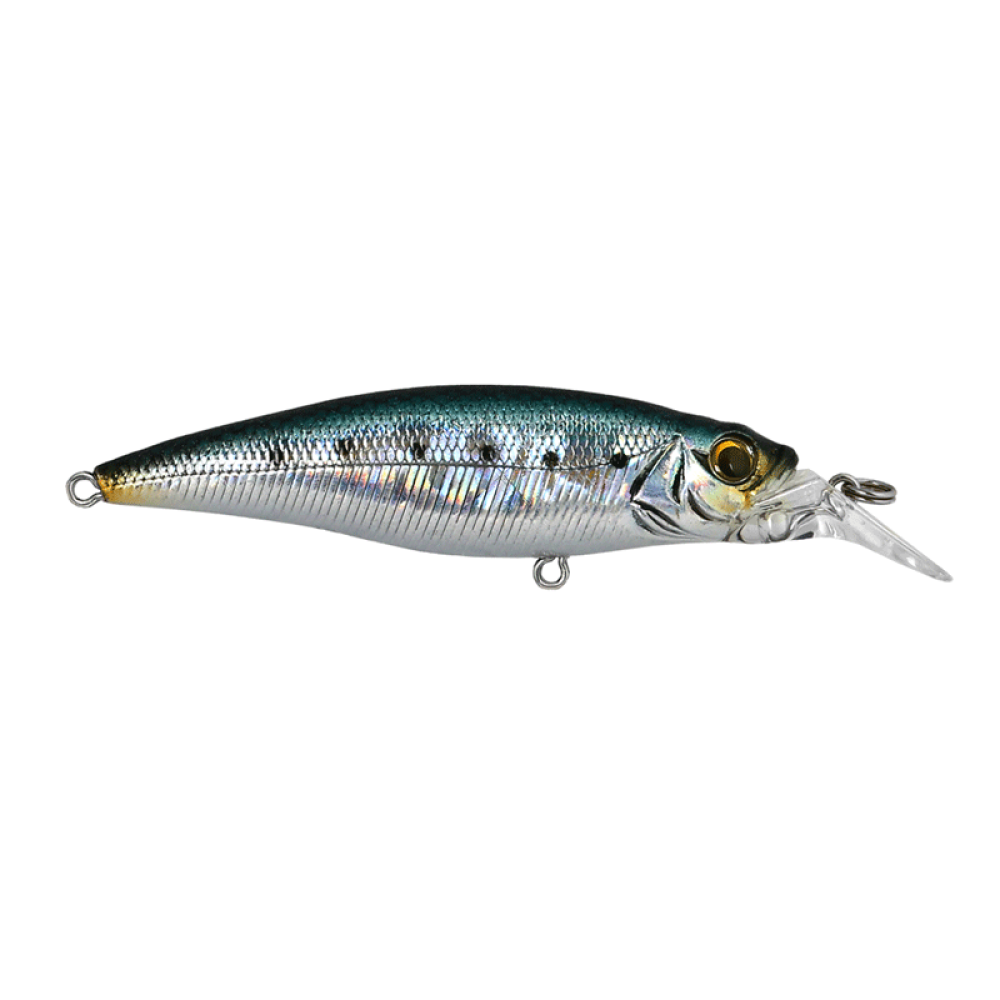 Cultiva Savoy Shad 80S
