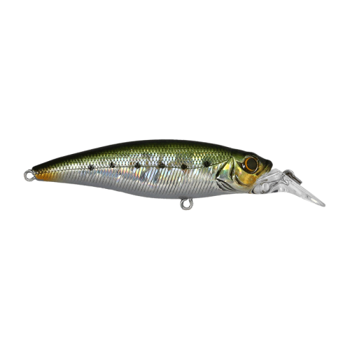 Cultiva Savoy Shad 80S