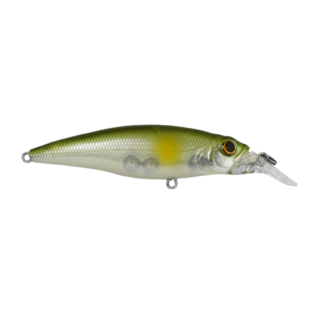 Cultiva Savoy Shad 80S