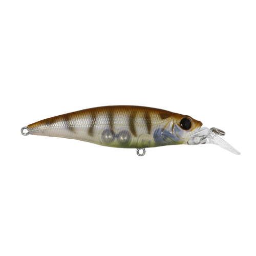 Cultiva Savoy Shad 80S