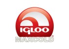 Igloo