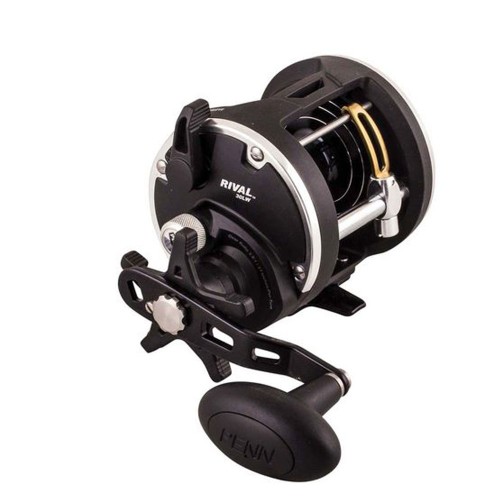 Penn Rival Level Wind 20RH