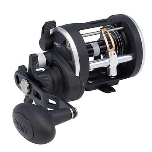 Penn Rival Level Wind  30RH