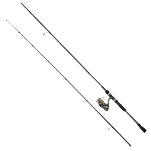 Daiwa Laguna Set Spinning II