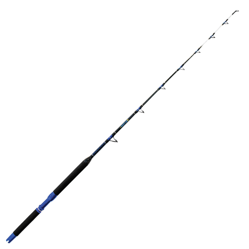 Sim Engineering Neptune 1.65m