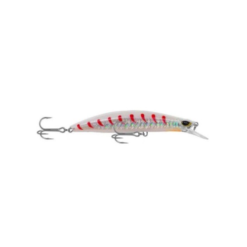 Shinka Gladiator 120mm