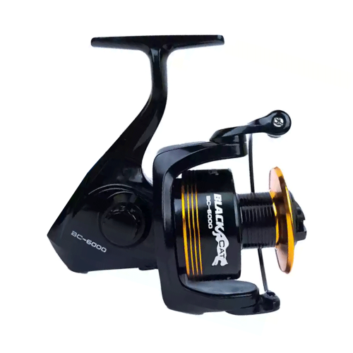 Pioneer Black Cat 5000