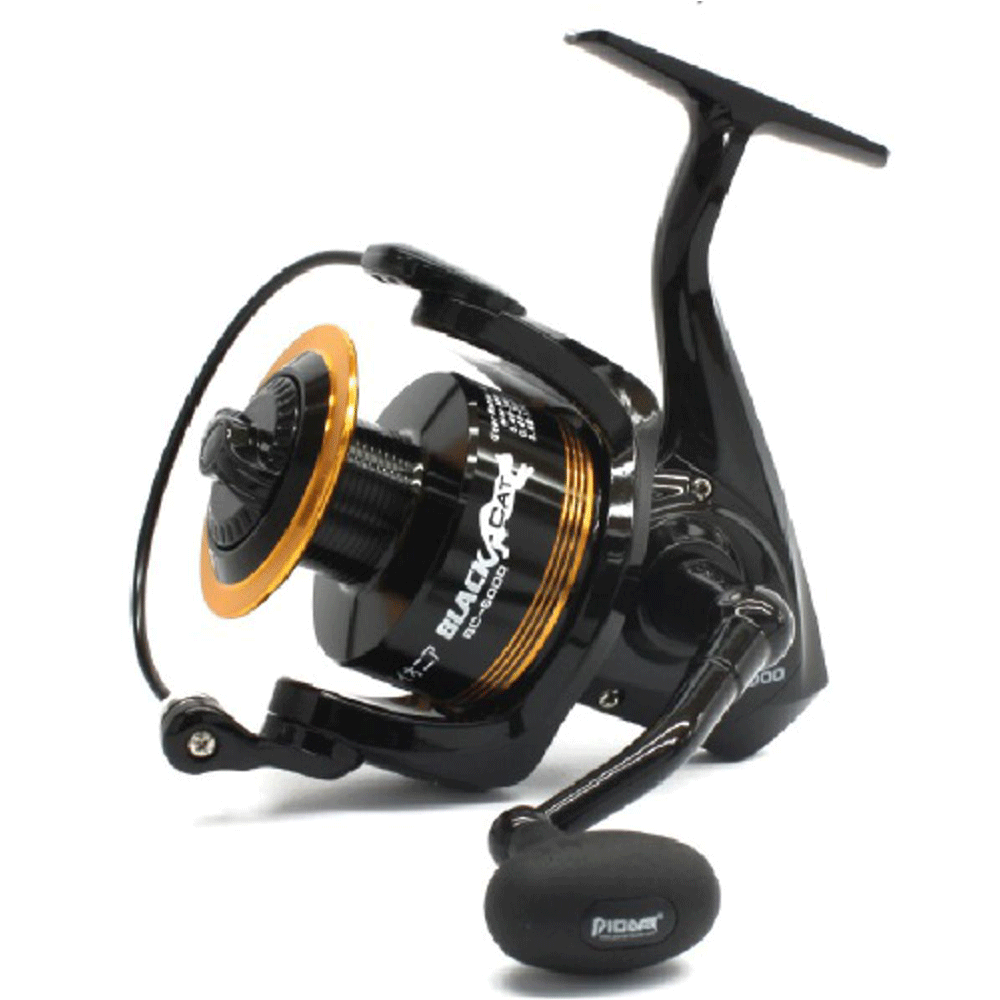 Pioneer Black Cat 5000