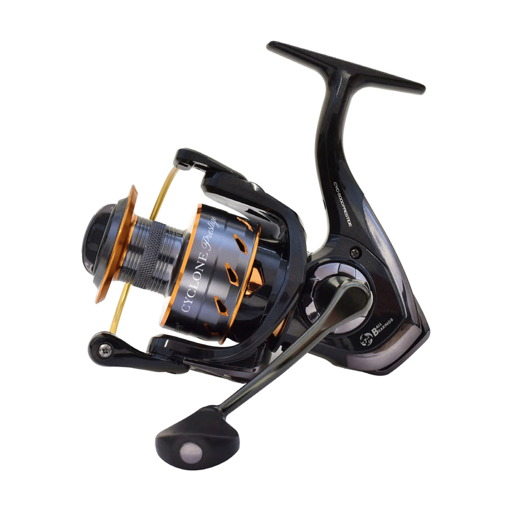 Pioneer Cyclone Prestige 2000FD