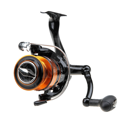 Pioneer Gold Berry 2000FD