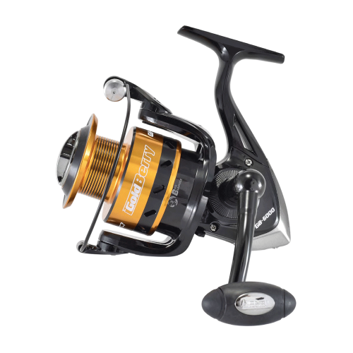 Pioneer Gold Berry 2000FD